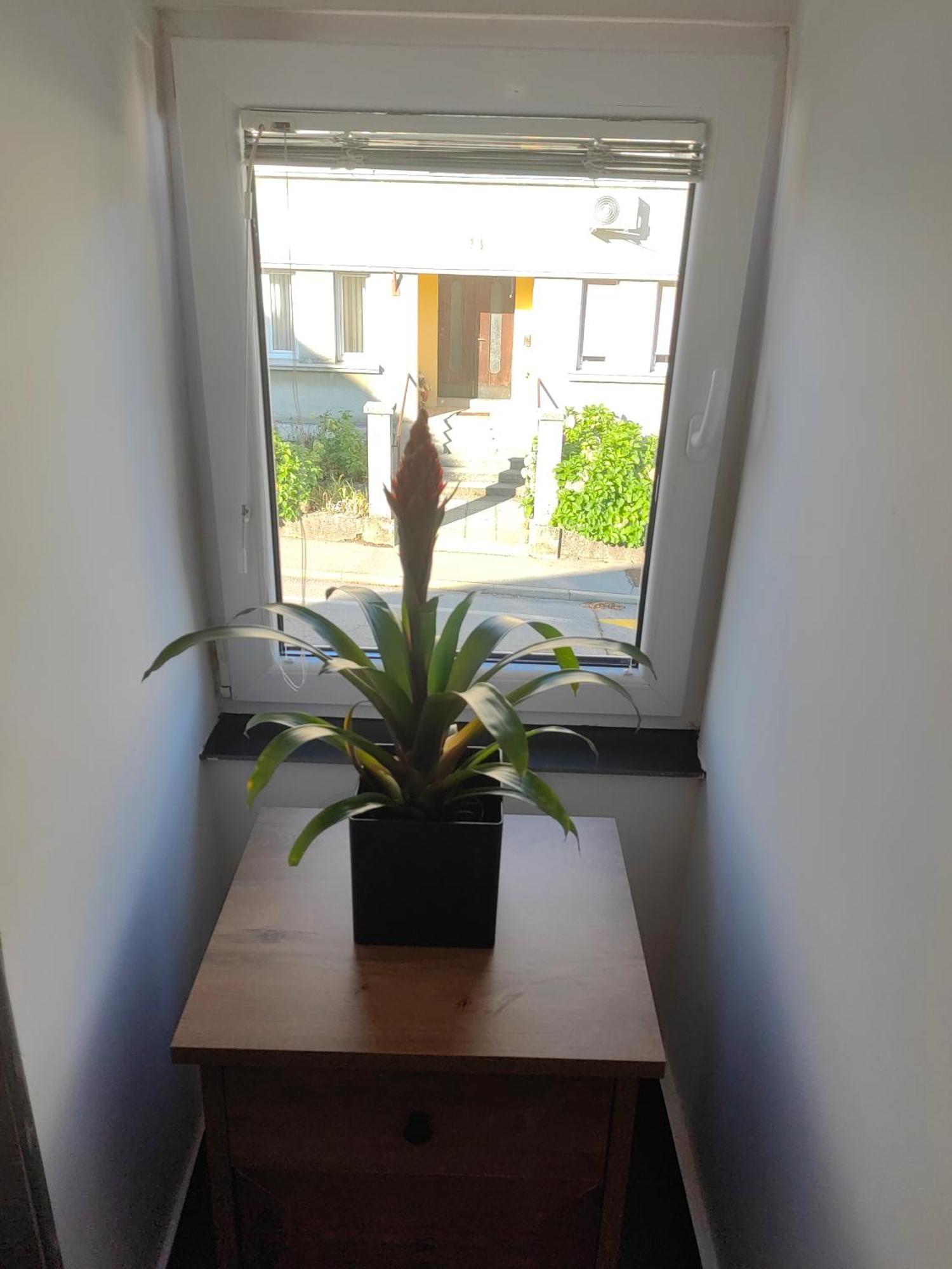 Sana Apartment Postojna Luaran gambar